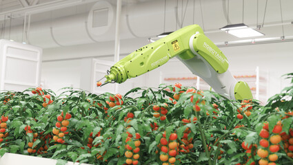 Operational robotic sustainable farm. Sustainable cultivation. Realistic 3d render.