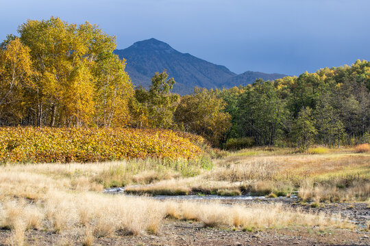 autumn landscape in the mountains