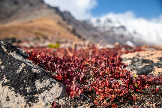 red rocks in the mountains