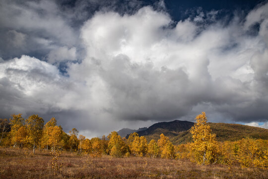 autumn landscape in the mountains