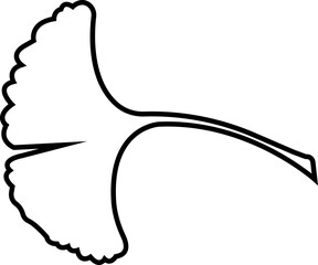 Cartoon line ginkgo biloba leaf. Nature eco vector. Ginkgo Herb and Spice Icon. Botanical element, traditional painting isolated on transparent background. Leaflet organic cosmetic and medical plant.