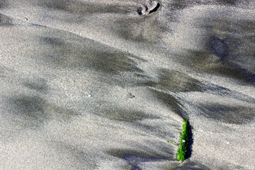 Sea sand background. Volcanic sand.

