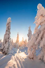 Selbstklebende Fototapeten snow covered trees © Artem
