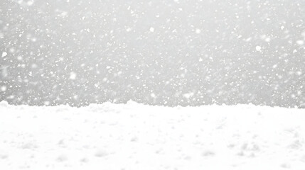 snow drops on white background