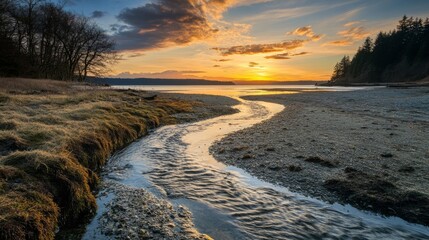 Stream at Dash Point SP flows into Puget Sound.