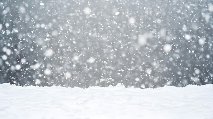 snow drops on white background