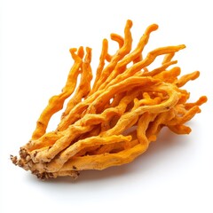 3D Illustration of Cordyceps Mushroom