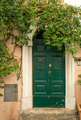 Old weathered green wooden door