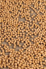 uncooked healthy grains of chickpeas porridge