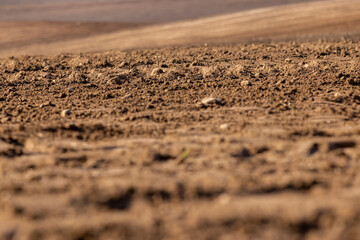fertile soil in spring during the preparation for sowing