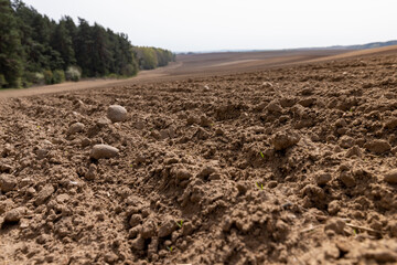 poor infertile soil in the field in the spring after plowing