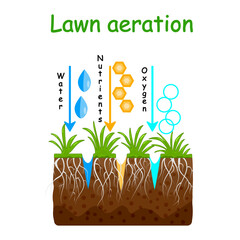Lawn aeration. Lawn aeration stage.Water, oxygen, air, nutrients and fertilizer access to soil.Lawn grass care, gardening service, benefits of aeration.Lawn core for grassland care.Vector illustration