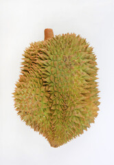 Durian fruit isolated on white background. King of fruits in south east asia