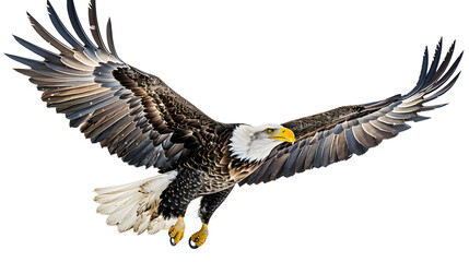 Obraz premium Eagle flying on sky isolated on transparent background