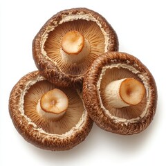 3D Illustration of Shiitake Mushroom