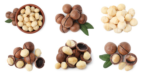 Many macadamia nuts isolated on white, collage