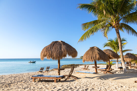Tropical beach with palm tree on the caribbean sea, Cancun, Mexico