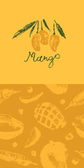 Obraz premium Template tropical fruits label design with vector mango pattern. Tropical fruit drawings. Color sketches of organic mangoes. Exotic fruit ornament. Mangos banner background.