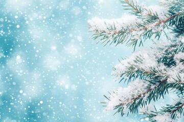 Obraz premium Winter snowy fir branches covered with snow frost and ice crystals on blurred blue background. Merry Christmas and happy new year greeting card.