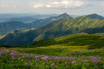 Views of Velky Rozsutec in Mala Fatra National Park