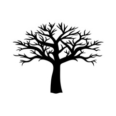 Obraz premium maclura-tree-silhouette