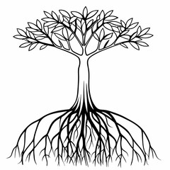 mangrove-tree-silhouette