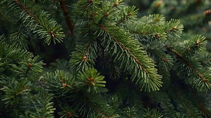 Obraz premium close-up background of fir tree branches. generative ai
