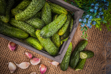 Fresh green cucumbers in a wooden box on a gray background.