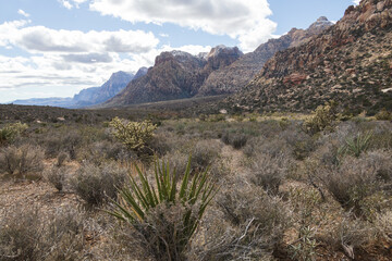 White Rock Mountain Loop, La Madre Mountains Wilderness, Nevada