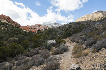 White Rock Mountain Loop, La Madre Mountains Wilderness, Nevada