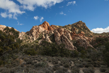 White Rock Mountain Loop, La Madre Mountains Wilderness, Nevada