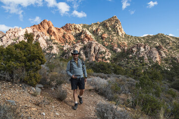 Fototapeta premium Hiker on the White Rock Mountain Loop, La Madre Mountains Wilderness, Nevada