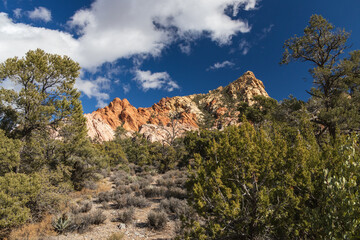 White Rock Mountain Loop, La Madre Mountains Wilderness, Nevada