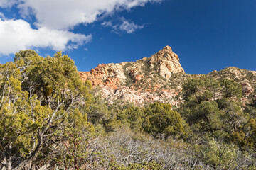 White Rock Mountain Loop, La Madre Mountains Wilderness, Nevada