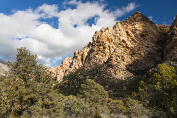 Fototapeta premium White Rock Mountain Loop, La Madre Mountains Wilderness, Nevada