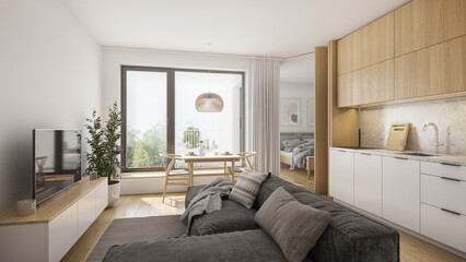 Small modern wooden apartment interior showcase	