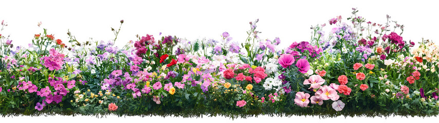 Forest landscape with lush green trees