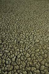 dry cracked earth,climate change 