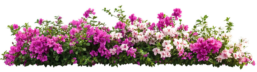 Forest landscape with lush green trees