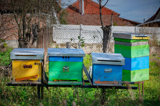 A row of colorful beehives painted in various shades of blue, yellow, and green stands in garden, the hives are made out of wood and have an aluminum cover on top.