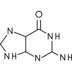 Fototapeta premium Guanine Icon