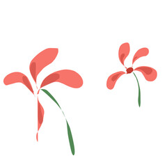 flower isolated on white