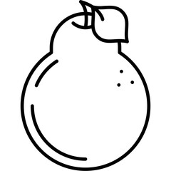 Satsuma Icon