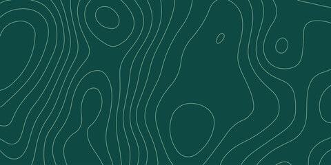 abstract pattern with lines. background of the topographic map. elevation contouring outline cartography texture. geographic abstract grid. futuristic wireframe landscape background. © Aquarium
