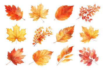 Obraz premium PNG Autumn leaf watercolor set, transparent background