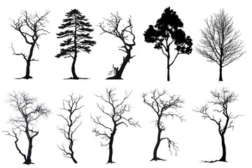 PNG tree silhouette set, transparent background