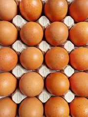 Top-down view of a carton with fresh chicken eggs