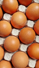 Top-down view of a carton with fresh chicken eggs