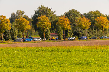 Village road by the field with parked cars