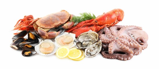 Fresh raw octopus and different sea food isolated on white